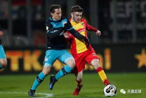 不仅具备强 不仅具备强